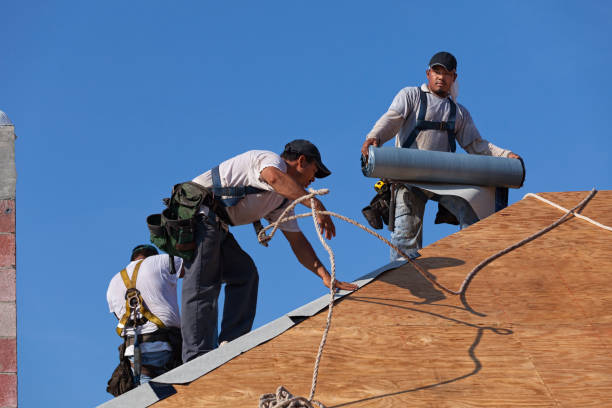 Roof Gutter Cleaning in Manvel, TX
