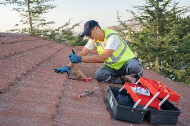 Best Storm Damage Roof Repair  in Manvel, TX